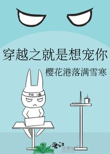 穿越之就是想宠你